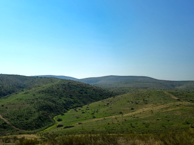 בקעה ירוקה. צילום: שחר כפיר