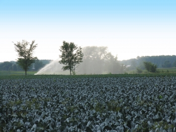 ⁨יקור המים לחקלאים יפגע בחקלאים, יעלה את יוקר המחיה ויפגע בסביבה⁩; דוח מומחים קובע- רשות המים מטעה את הציבור.