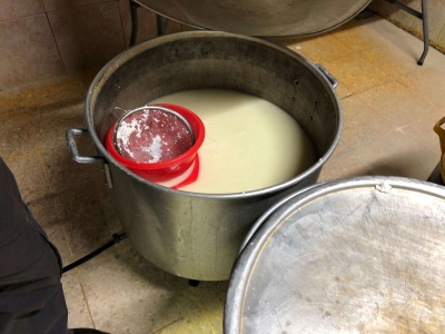 ‎⁨אתר פיראטי לייצור חלב⁩
