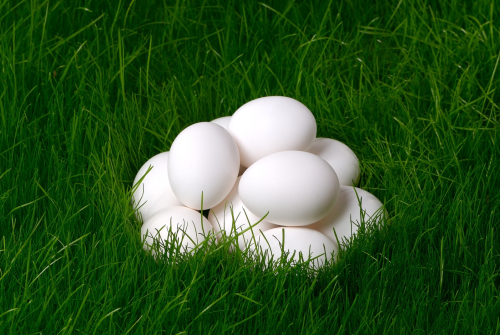 מנגנון העדכון המקצועי בביצים נכנס לתוקף –  בעקבותיו עדכון במחיר הביצים לצרכן בשיעור של כ-15.9%