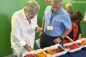 אייל שני בוחר את העגבנייה הטעימה בישראל בשנה שעברה בתערוכה