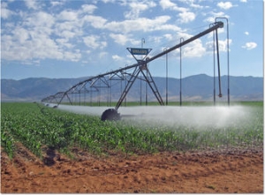 משרד החקלאות ורשות המים: מכסת המים לחקלאות תגדל באופן זמני זאת לאור הגידול המשמעותי בכמויות המזון שנדרשים החקלאים לגדל עבור האוכלוסייה