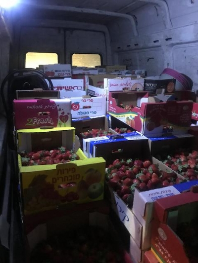 ניסיון לשיווק תותים באזור ירושלים_פיצוח