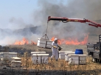 מועצת הדבש: עקב ההצתות בעוטף עזה נאמד הנזק לדבוראים במאות אלפי שקלים