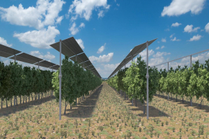 מערכות אגרי-וולטאיות לייצור אנרגיה מתחדשת יותקנו בשטחי החקלאות של קיבוצי גרנות הדמייה שיכון ובינוי אנרגיה